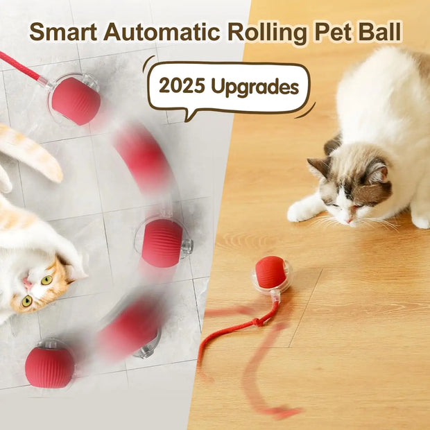 SmartPaw Ball