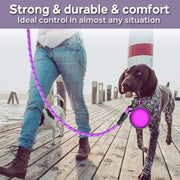 Heavy-Duty Reflective Dog Leash