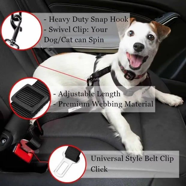 Pet Travel Harness