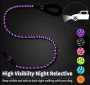 Heavy-Duty Reflective Dog Leash