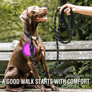 Heavy-Duty Reflective Dog Leash